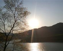 夕阳：夕阳无限好~~~~”