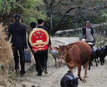 照片拍摄于云南省大理州南涧县公郎镇，那时的龙进品还不是云岭楷模，坚守的力量让他成为了法官队伍中一颗闪耀的星星，正是这种品质让他整个人都散发着正义的光芒。下乡巡回审判是艰苦的，放牛归家老人与法官微笑对视，似乎他们不止一次在这条山路上相遇。”