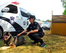【休整】昆明海关隶属瑞丽缉毒犬基地 钟文军

”