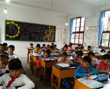 认真上晚自习的小学生”