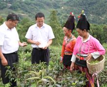 梁河县联社有一群这样的人，他们手拿印油纸笔、面带微笑奔走乡间，他们心系群众、热心为民，为需要信贷资金的群众排忧解难，他们恪尽职守、任劳任怨、乐于奉献。他们，就是奔走在广阔的农村阵地的信贷工作者们。正是有这样一群踏踏实实、兢兢业业、吃苦耐劳、勇于拼搏的信贷员们。他们早出晚归、不怕风吹日晒、不惧狂风暴雨；他们以求真务实的工作精神，以坚忍不拔、百折不挠的意志，以排除万难、敢于担当、坚决贯彻落实的勇气挑起了支农的重任.”