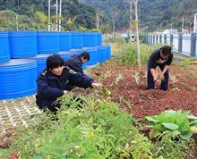 【“勐康海关纪实”之自己动手，开荒种菜】昆明海关政工办 王达众 ：勐康海关纪实”