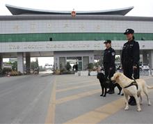 【《我们的犬队》之六】昆明海关政工办 王达众：瑞丽缉毒犬基地”