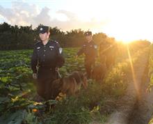 【《我们的犬队》之七】昆明海关政工办 王达众：瑞丽缉毒犬基地”