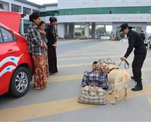 【《我们的犬队》之五】昆明海关政工办 王达众 ：瑞丽缉毒犬基地”