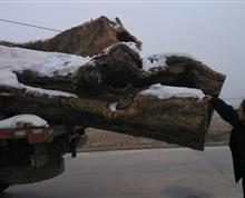【冰天雪地】昆明海关隶属腾冲海关职工摄影小组拍摄”