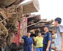 【分析掌握进货情况】昆明海关政工办 王达众：“澜沧江上的国门卫士”——西双版纳海关驻关累港监管组纪实。”