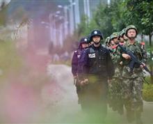 清晨八点,含苞欲放的蓓蕾上，晶莹明亮的露珠闪烁着，显得生气勃勃。文山监狱特警队巡逻一组同七位武警战士穿戴好单警装备，开始了他们12小时的轮班巡逻。不论风和日美，还是月白风清，巡逻队就像一支默默前行的护航舰队，恪尽职守、始终如一的穿梭在监管区，为监狱的安全稳定保驾护航。”