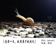 《总有一天，我有属于我的天》	谢  宇	省话剧院”